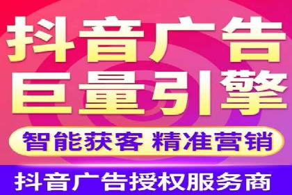 电商平台信息流广告的投放策略与效果评估案例