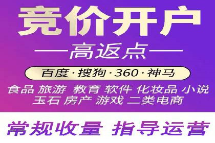 百度竞价排名服务：实战案例解析与优化技巧